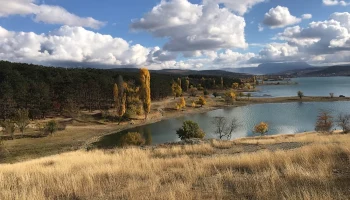 Кесслерский лес